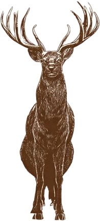 a deer with ant ant ant ant ant ant ant ant ant ant ant ant ant ant ant ant ant.jpg